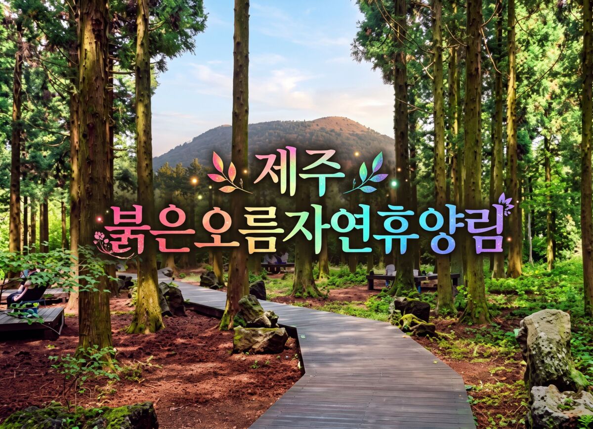 제주 서귀포 표선면에 위치한 붉은오름자연휴양림의 청정한 삼나무 숲과 산책로