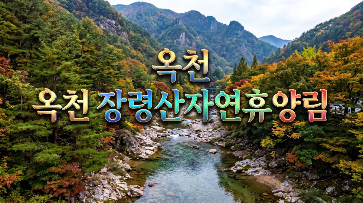 충북 옥천 금천계곡과 울창한 숲이 어우러진 장령산자연휴양림 풍경