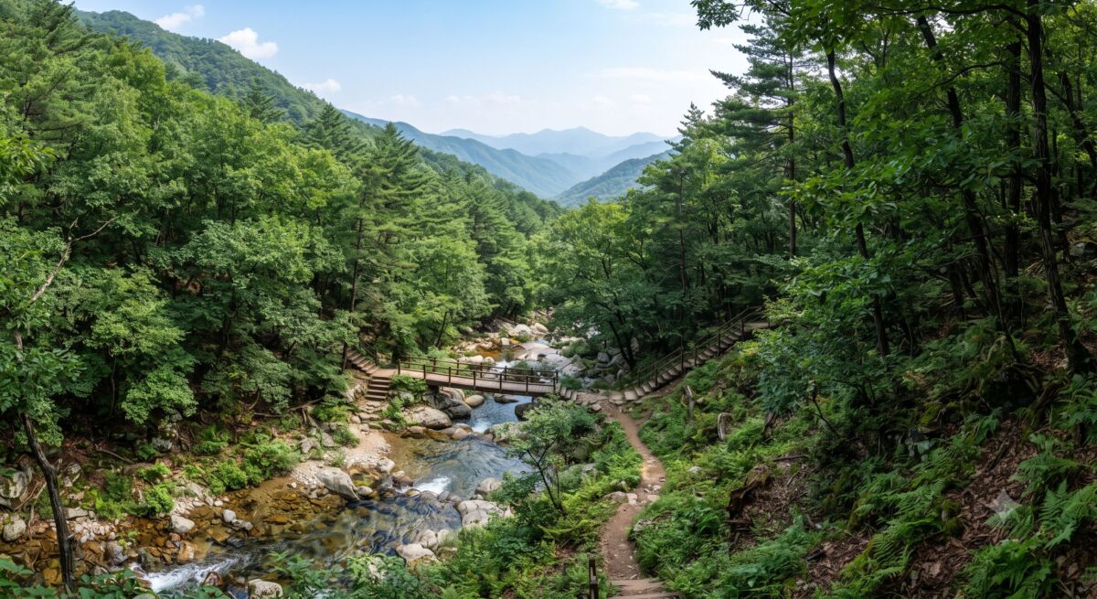 영월 태화산자연휴양림 숲속의집 전경과 울창한 산림 풍경